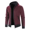 Pulls pour hommes Sidiou Group Gros Automne Hiver Cardigan à fermeture éclair Mode Manches longues Casual Pull à capuche solide 230822