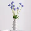 Wazony wazon wazon ceramiczny dekoracja domu dekoracja dekoracji nowoczesne luksusowe ozdoby żywe