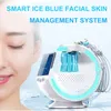 OEM/ODM 7 in 1 Multifunktions -Augenfalten Whitening Smart Ice Blue Plus Hydro Machine Beauty Hautpflegegerät für Salone Beauty Medical