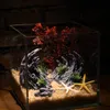 装飾キャニオン造園水槽シミュレーションQinglong Rockery Decoration Water Grass小さな装飾品Aquarium 230821