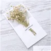 Greeting Cards Dried Flower Gypsophila Christmas Birthday Valentine Day Wedding Invitations Card Drop Delivery Home Garden Festive P Dhzqf