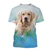 Męskie koszulki Labrador Dog T-shirts Animal 3D Print Streetwear Mężczyźni Kobiety swobodny moda Koszula z krótkim rękawem