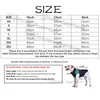 Designer Dog Clothes Brand Abbigliamento per cane morbido COMUNICO CAPETTO CANITO CANTRO CON MOTORE CLASSE Lettere Summer Dog Shirt per cagnolini per cagnolini Chihuahua Yorkie S A809