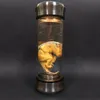 Decorative Objects Figurines Jurassic Park Dinosaur Embryo Glow Jar World Velociraptor Blue Movie Prop Replica 230822