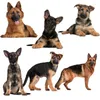 Наклейки на стенах три ratels QC388 HD Pixel German Shepherds Водонепроницаем