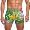 Men's Swimwear Green Leaves Swimming Trunks Leafy Forest Print Beach Fashion Swim Shorts Stay-in-Shape Push Up Men Swimsuit