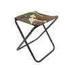 Camp Furniture Outdoor Folding Chair Leisure Ultra Light Mini Stooleasy to CarreTravel Subway Line Upportera Small Mazar