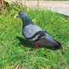 Decorações de jardim Pigeon estátua de impressão dupla face estatueta à prova de intempéries para quintal 2d acrílico escultura selvagem decoração