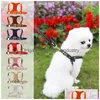 Colliers de chien Laisses 8 Couleur Mode Luxe Chat Set Animaux Harnais Rétro En Cuir Collier Pour Animaux De Compagnie Designer Ceinture Caniche Schnauzer Petite Taille D Dhh18