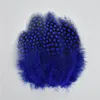 Andra handverktyg 100pcslot Natural Dyed Guinea Fowl Feathers Pheasant Plumes For Crafts Chicken Colored Liten Feather Decorative Diy Home Decor 230821