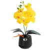 Decorative Flowers Wreaths Greenery Bonsai Ornaments Simulation Butterfly Orchid Ceramic Vase Artificial Desktop Decoration Room Art 230822