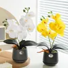 Decorative Flowers Wreaths Greenery Bonsai Ornaments Simulation Butterfly Orchid Ceramic Vase Artificial Desktop Decoration Room Art 230822