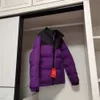 디자이너 남성 겨울 여성 자수 다운 재킷 북쪽 따뜻한 파카 코트 페이스 남자 더호 문자 인쇄 아웃웨어 다중 색상 인쇄 재킷