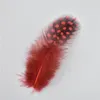 Andra handverktyg 100pcslot Natural Dyed Guinea Fowl Feathers Pheasant Plumes For Crafts Chicken Colored Liten Feather Decorative Diy Home Decor 230821