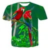 Magliette da uomo l'ultima serie di pappagalli per animali per la primavera e estate da donna 3d t-shirt sport di moda oversize