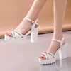 Klänningskor Fashion High Heeled Sandals för kvinnor Tjock Bottom Platform Heels Korean Style Women's Sexy 9cm Heel Peep Toe Pumps