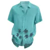 Camisas casuales de hombres Camisa hawaiana para hombres Playa shortleved Holiday Wear Blusas Camisas 230822