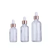 wholesale Wholesale Glass Refillable Dropper Bottles 5-100ML Empty Essential Oil Container with New Rose Gold Lids LL