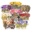 Gift Wrap 320 PCS Pressed Flower Theme Stickers Set Dried Flowers Resin Decals Floral Botanical Journaling Multicolor