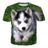 T-shirts pour hommes Pet Dog Husky 3D T-shirt imprimé Harajuku Animal Hommes Femmes Mode d'été Casual Hip Hop Streetwear Tops
