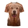 Herr t-skjortor labrador hund t-shirts djur 3d tryck streetwear män kvinnor avslappnad mode överdimensionerad kort ärm skjorta barn tees toppar