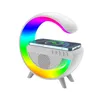 Draagbare luidsprekers Colsur Multifunctionele Bluetooth -luidspreker Audio TF RGB Night Light Wireless Charger Stand Pad Station voor telefoon 14 13 Android 230821