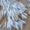 Dekorativa blommor kransar 55 st kanin kanin svansgräs naturligt torkat bukett bröllop jul dekoration lagurus pampas hem dekor po props 230822