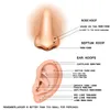Septum Piercing nez anneau G23 titane industriel Tragus boucles d'oreilles femmes accessoires boucles d'oreilles Cartilage Sexy Helix bijoux de corps