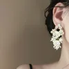 Boucles d'oreilles en peluche fleur coque coréenne exagérée longue glace élégant bijoux de femmes 6bxw