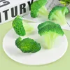 장식용 꽃 시뮬레이션 음식 브로콜리 슬라이스 가짜 인공 채소 장식 모델 홈 레스토랑 장식을위한 교육 소품
