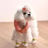 Vestuário para cães 20pcs Garra de estimação cobre um tecido descartável conveniente