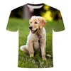 Magliette da uomo a magliette per cognome per animali domestici 3D Labrador Retriever Large Maglietta può essere personalizzato per bambini e dimensioni per adulti 4-20 anni