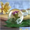 Soaps clear flor sabonete chá herbal Óleos essenciais feitos à mão Hidratante Body Body Cleanser Drop Drop Garden Home Garden Bat Dhqcr