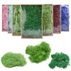 Faux Floral Greenery High Quality Artificial Green Plant Immortal Fake Flower Moss Grass Home Living Room Decorative Wall DIY Mini Accessories 230822