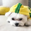 Abbigliamento per cani Abbigliamento per animali domestici Autunno/Inverno con cappuccio invernale a quattro zampe per il vento cucciolo di orsacchiotto bichon.