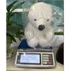 박제 봉제 동물 흰색 북극곰 귀여운 곰 크기 30 ~ 35cm 아이 앉아 베개 장난감 부드러운 장난감 선물 선물