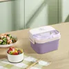 Geschirrsets Bento Lunch Box 2 Schichten Mehrkompartiment Snacksalat tragbare Behälter für Erwachsene