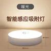 Night Lights LED Intelligent Human Body Induction Small Light Closet Hallway Stair USB Rechargeable