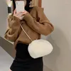 Kvällspåsar Plush Frame for Women 2023 Winter Pearl Furry Crossbody Shoulder Solid Fur Luxury Handbag Soft Fluffy Korean