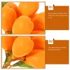 Present Wrap Simulated Fruit Spetts Simulation String Model Artificial Loquat Fake Toy Props Plastices