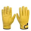 gloves worker safety