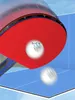 Raquettes de tennis de table 2023 Ping Pong Paddle Pimplesin Raquette de haute qualité Lame 6789 étoiles avec sac 230822
