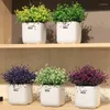 Dekorativa blommor Creative Bonsai Potted Artificial Plant Pineapple Grass One Set (Flower Vase) för bröllopskontor Heminredning