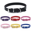 Hondenkragen Pet Collar Classic Solid Basic Polyester Nylon met Quick Snap Buckle Canh Harness