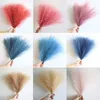 Fleurs décoratives couronnes 1030pcs Pampas moelleux Grass Artificial Flowers Decoration For Wedding Boho Bouquet Party Home Vase Vase Decor Fake plante Reed Flower 230823