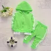 Zestawy odzieży Spring Baby Casual Tracksuit Children Chłopcy Dziewczyny Bawełniane spodnie z kurtką na zamek błyskawiczne