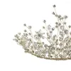 CHIEDI O571 PERCHI PERCHIO PRESIMENTE PERCHI MANDADE LUXI RINSTONE PRINCIPESSA CUSTURA LARGO PAGANTE CROPUA DEGLI GIETRI BRIDALE TIARA