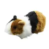 Plüschpuppen 18 cm Meerschweinchen -Ornament Cosy Touch Simulation Animal Doll 3d Augen Spielzeug Home Dekoration 230823