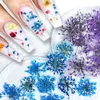 Decorações de arte da unha 100 pcs Flores secas Decoração de unhas Charms naturais Acessórios de manicure Diy Manicure para UV Supplies de esmalte em gel 230822