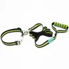 Colliers de chien Collier LED Laisse Set dans la nuit pour animal de compagnie Pooch Buddy Lumière Clignotant Chiot Cou Nylon Bande Sombre Entraînement En Plein Air Jouer